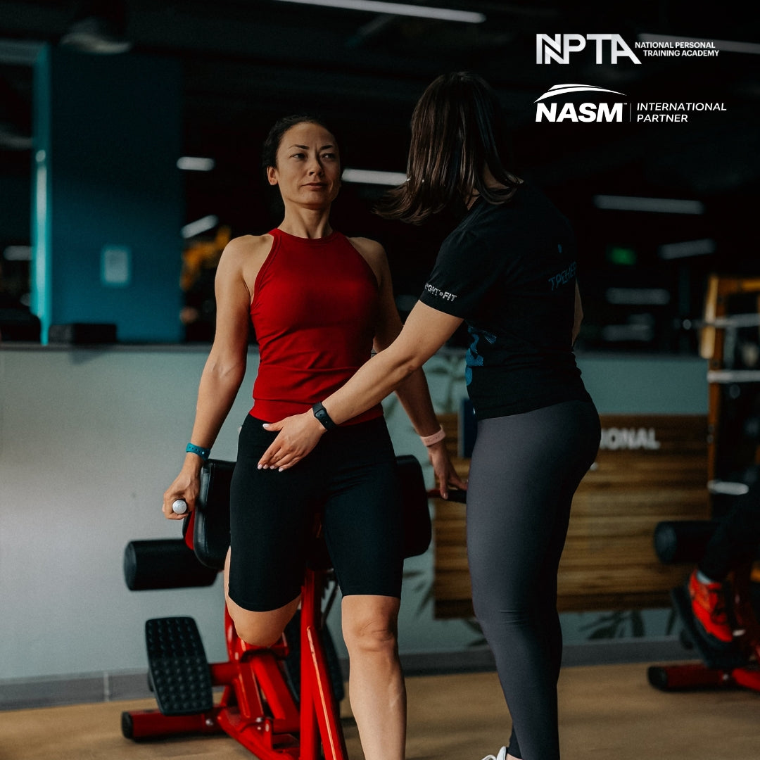 Functional Movement vs Traditional Training